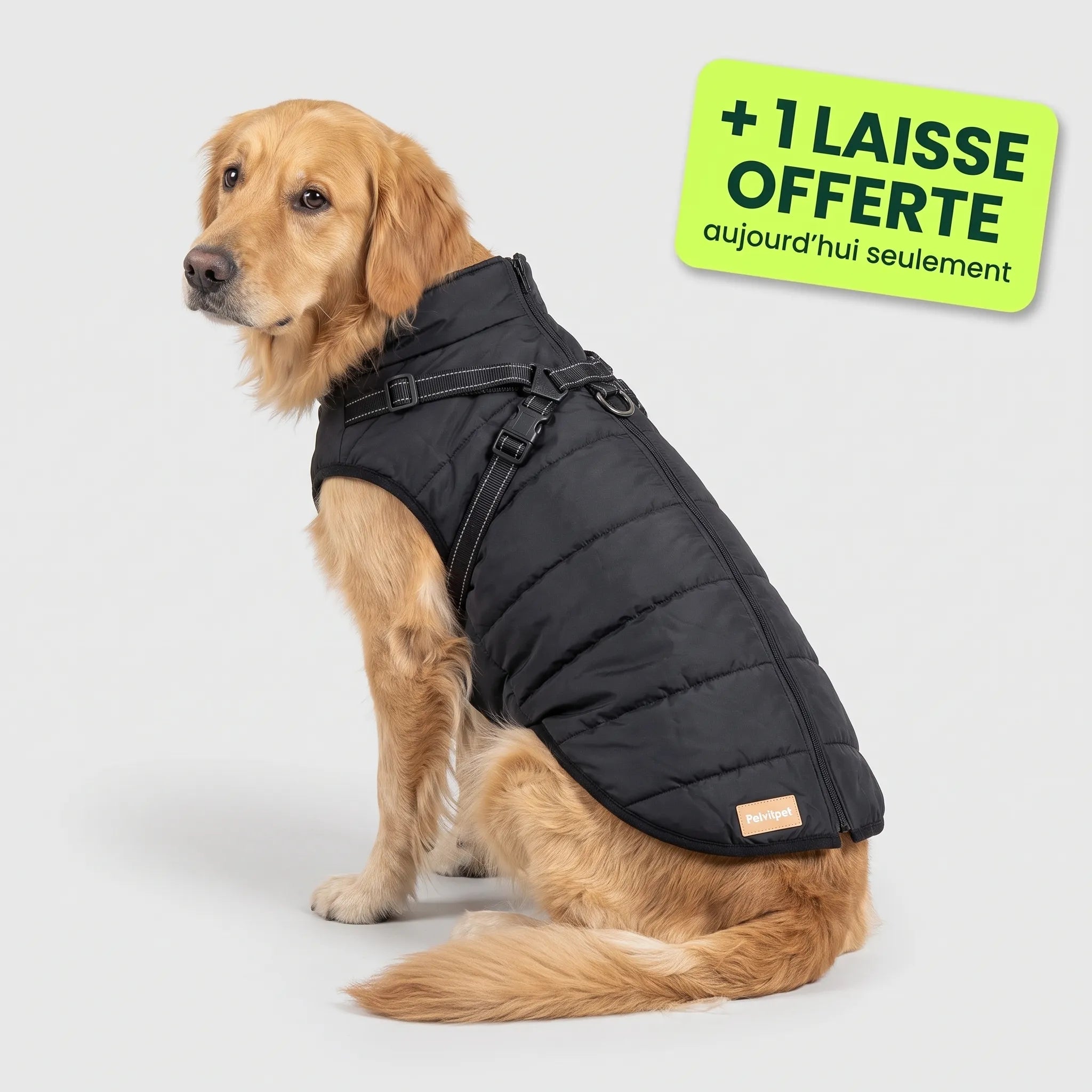 Pelux Polar™ — Le Manteau avec Harnais Intégré