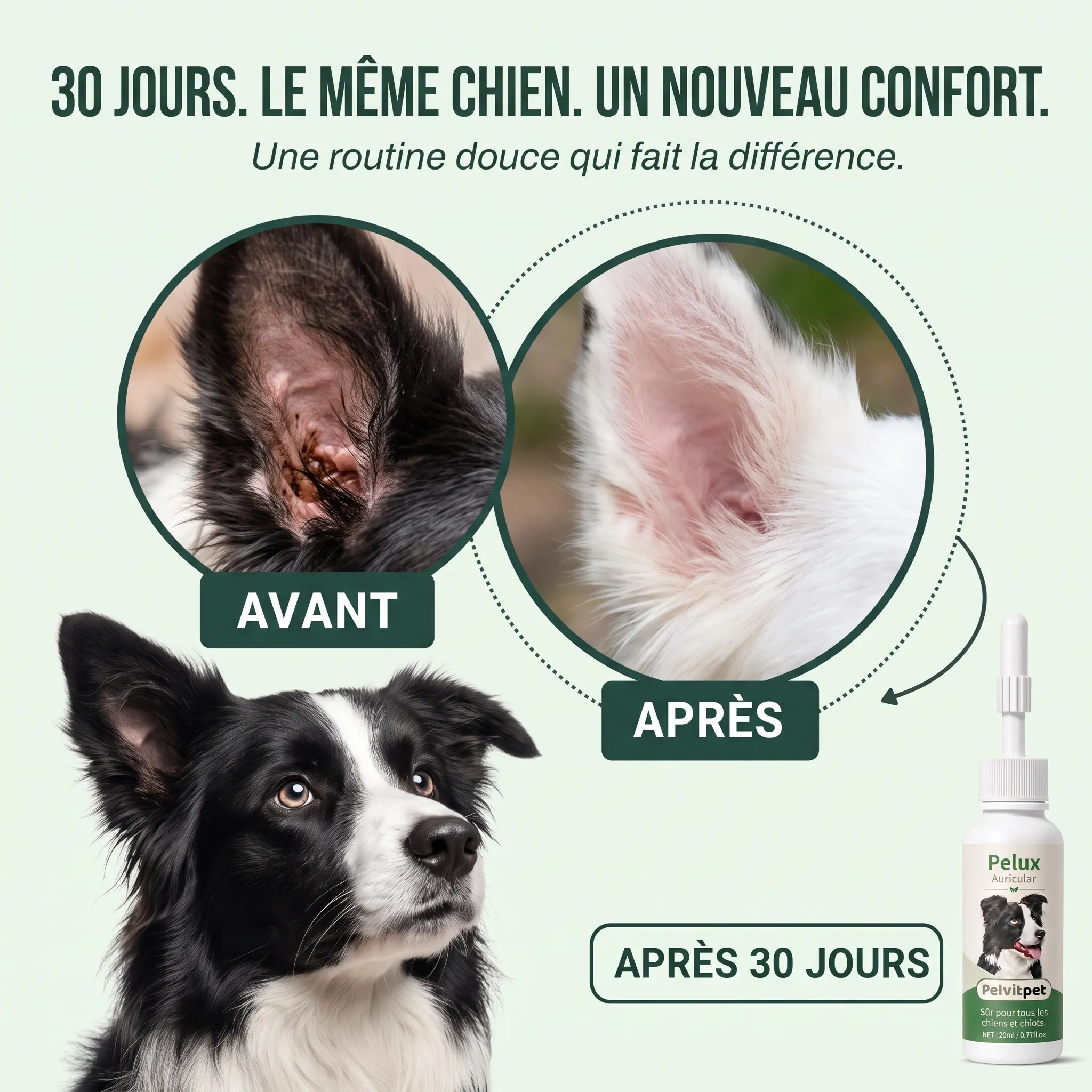 Pelux Auricular - Nettoyant Auriculaire pour Chiens