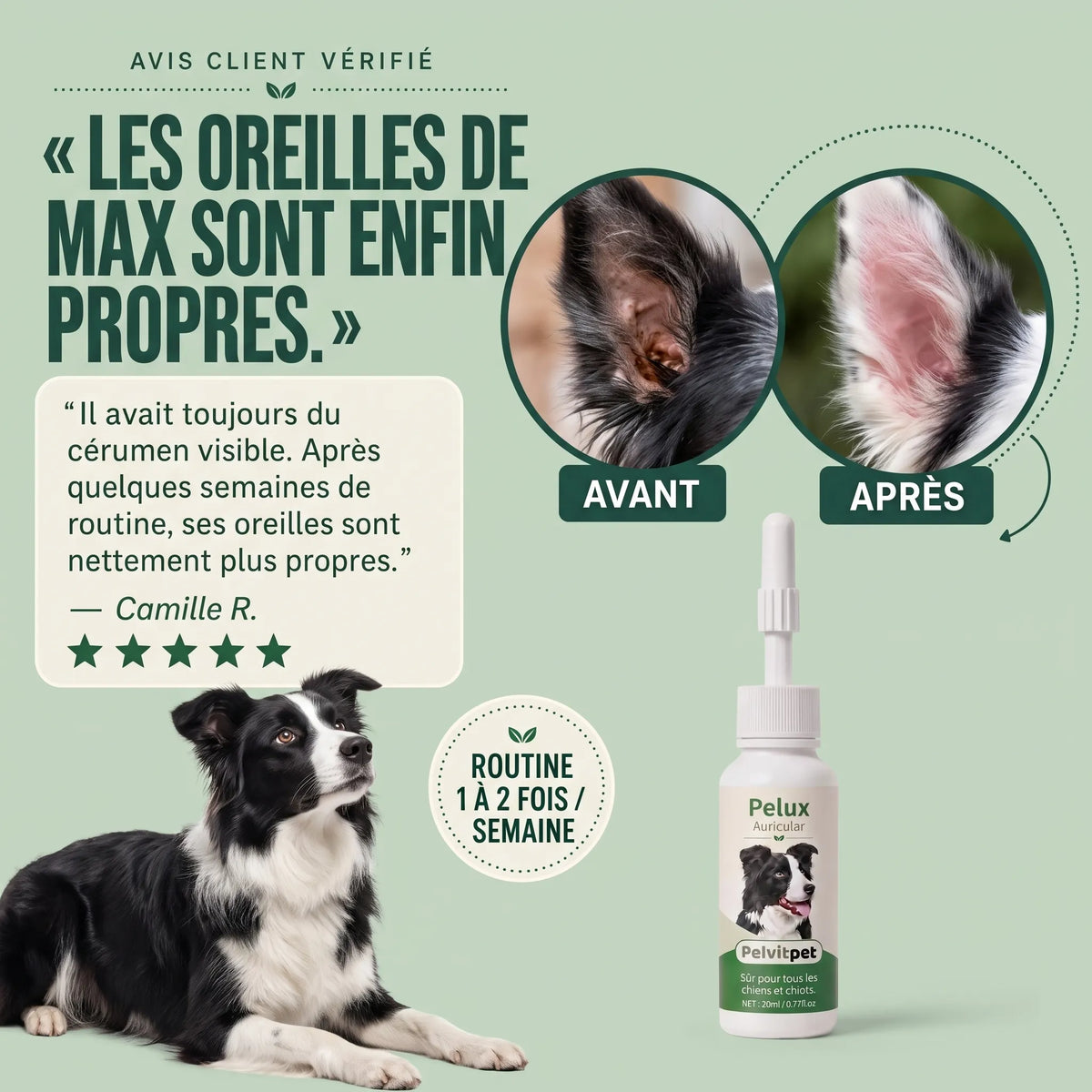 Pelux Auricular - Nettoyant Auriculaire pour Chiens