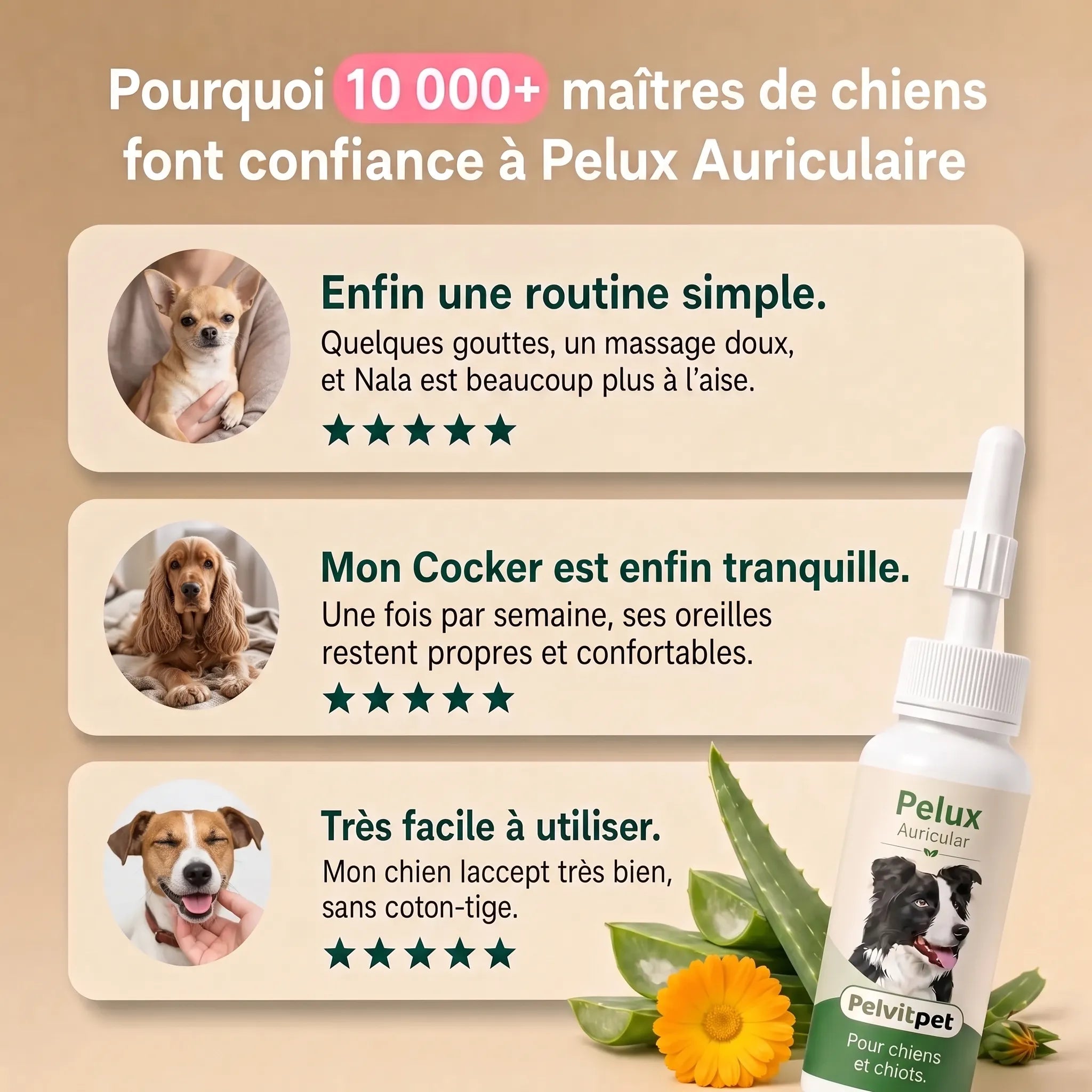 Pelux Auricular - Nettoyant Auriculaire pour Chiens