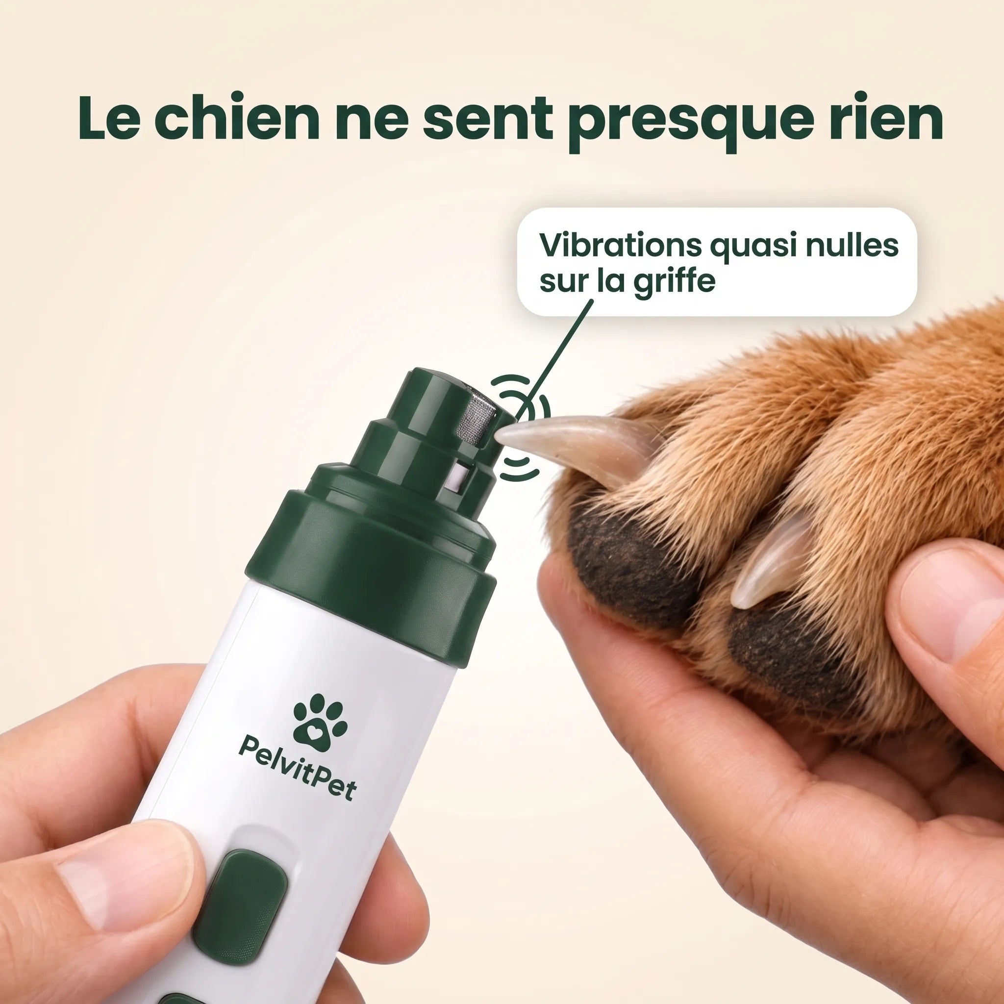 Pelux Soft™ — La Lime à Griffes Sans Stress