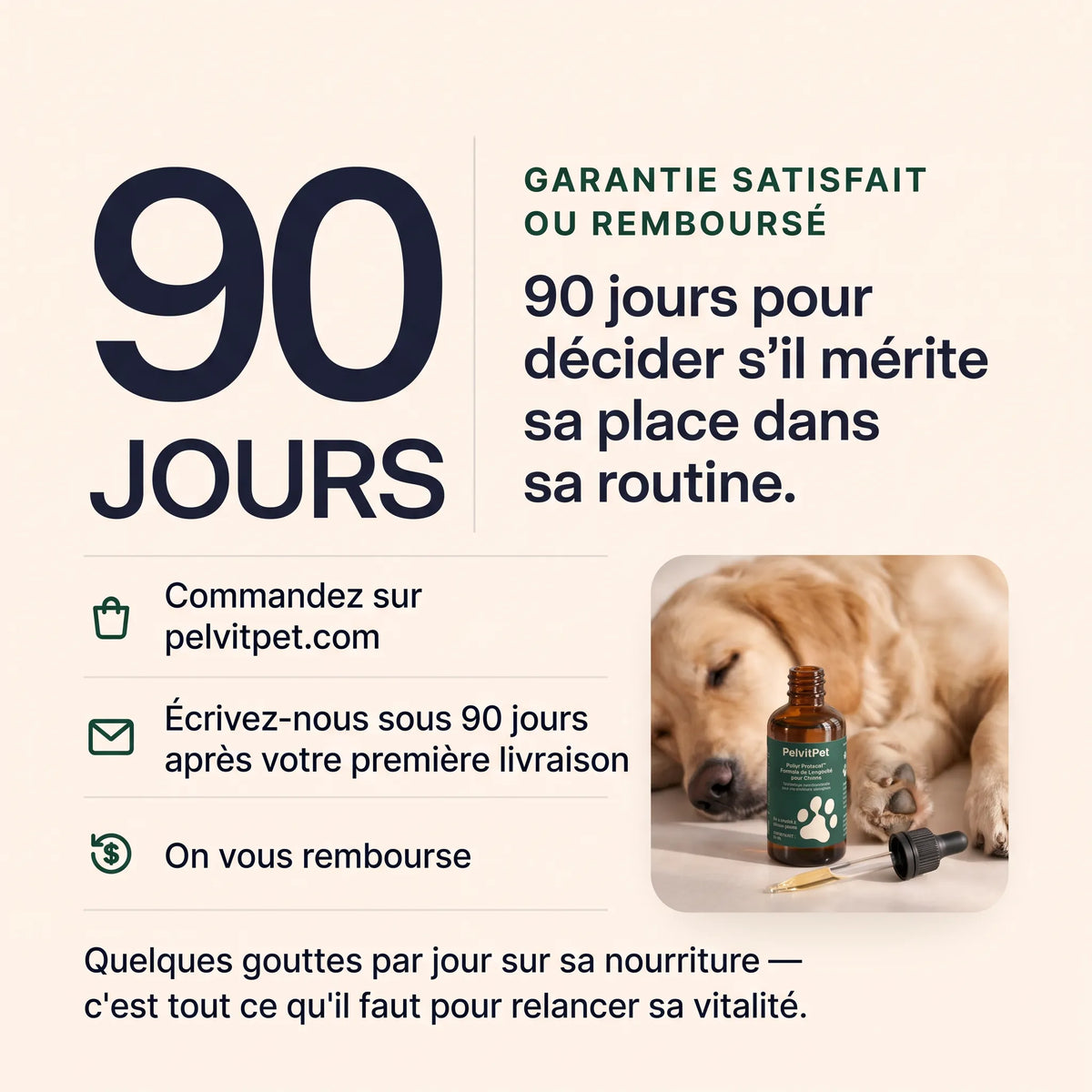 Pelux Protocol™ – Formule de Longévité pour Chiens