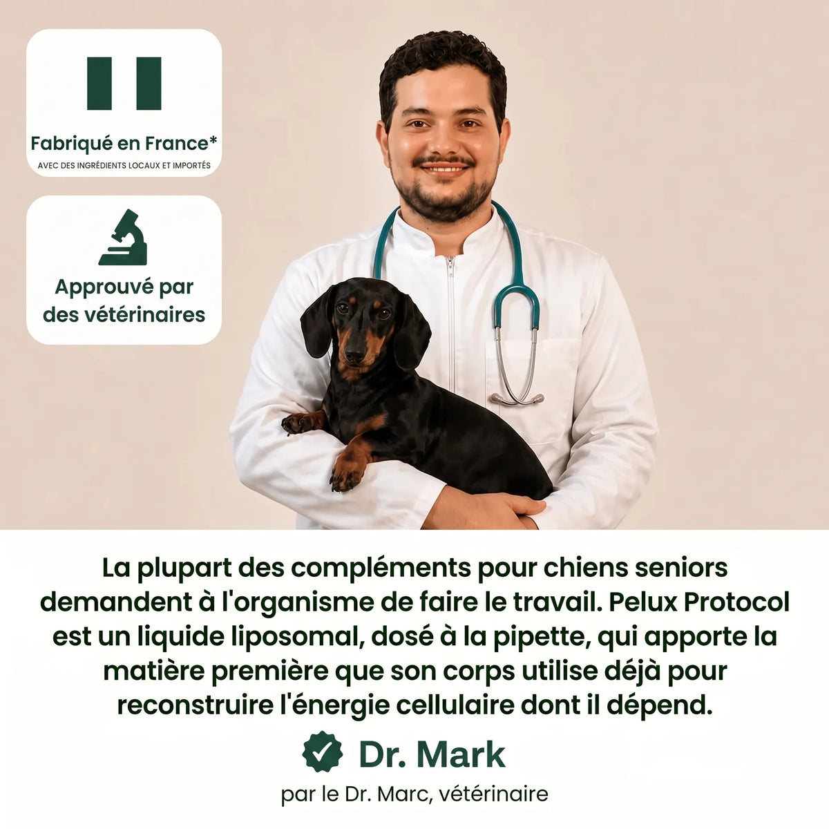 Pelux Protocol™ – Formule de Longévité pour Chiens