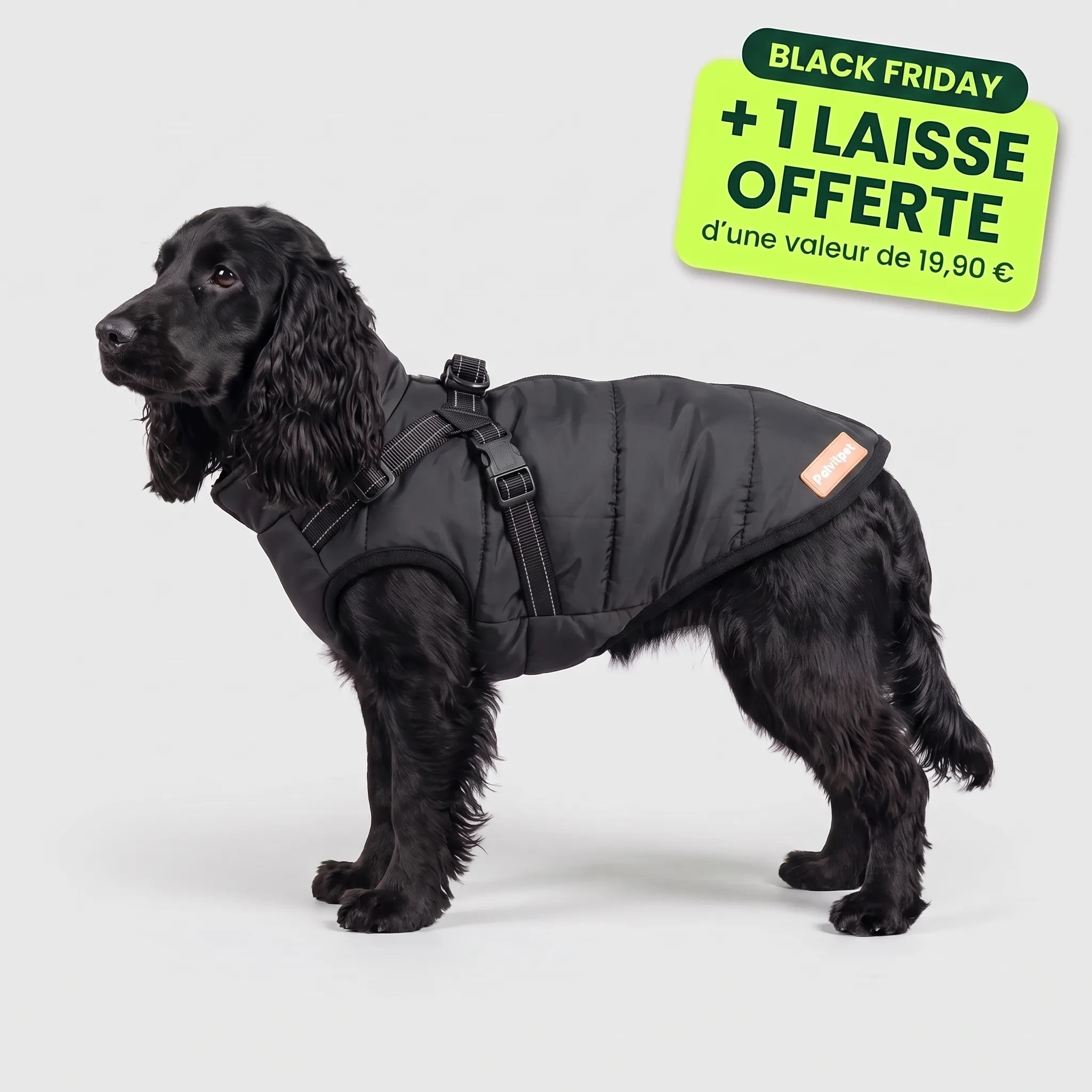 Pelux Polar™ - Le Manteau avec Harnais Intégré