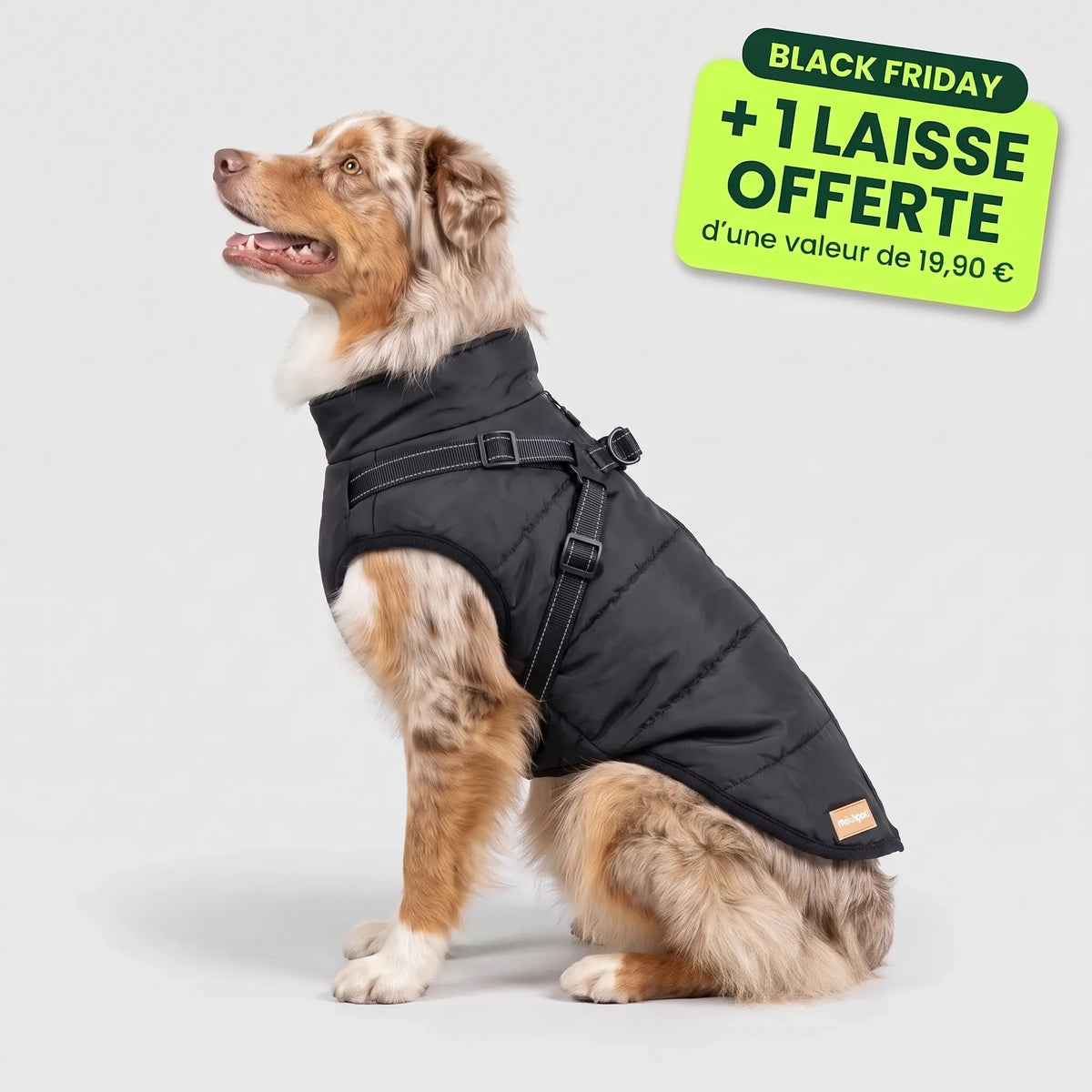 Pelux Polar™ - Le Manteau avec Harnais Intégré