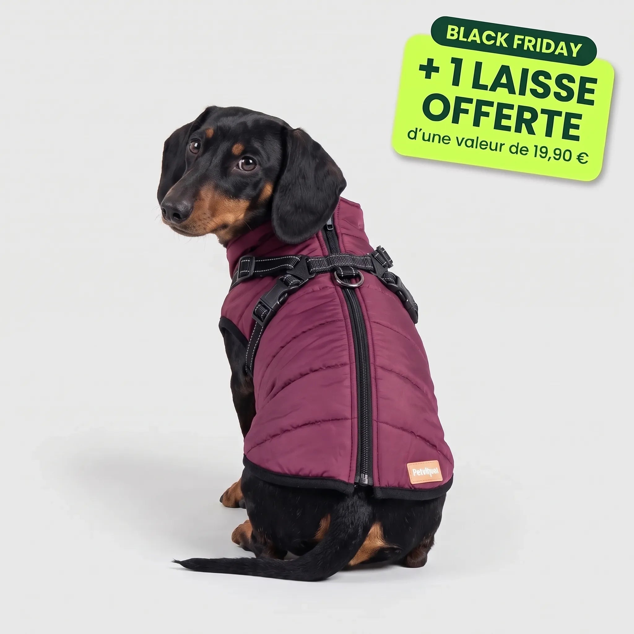 Pelux Polar™ - Le Manteau avec Harnais Intégré