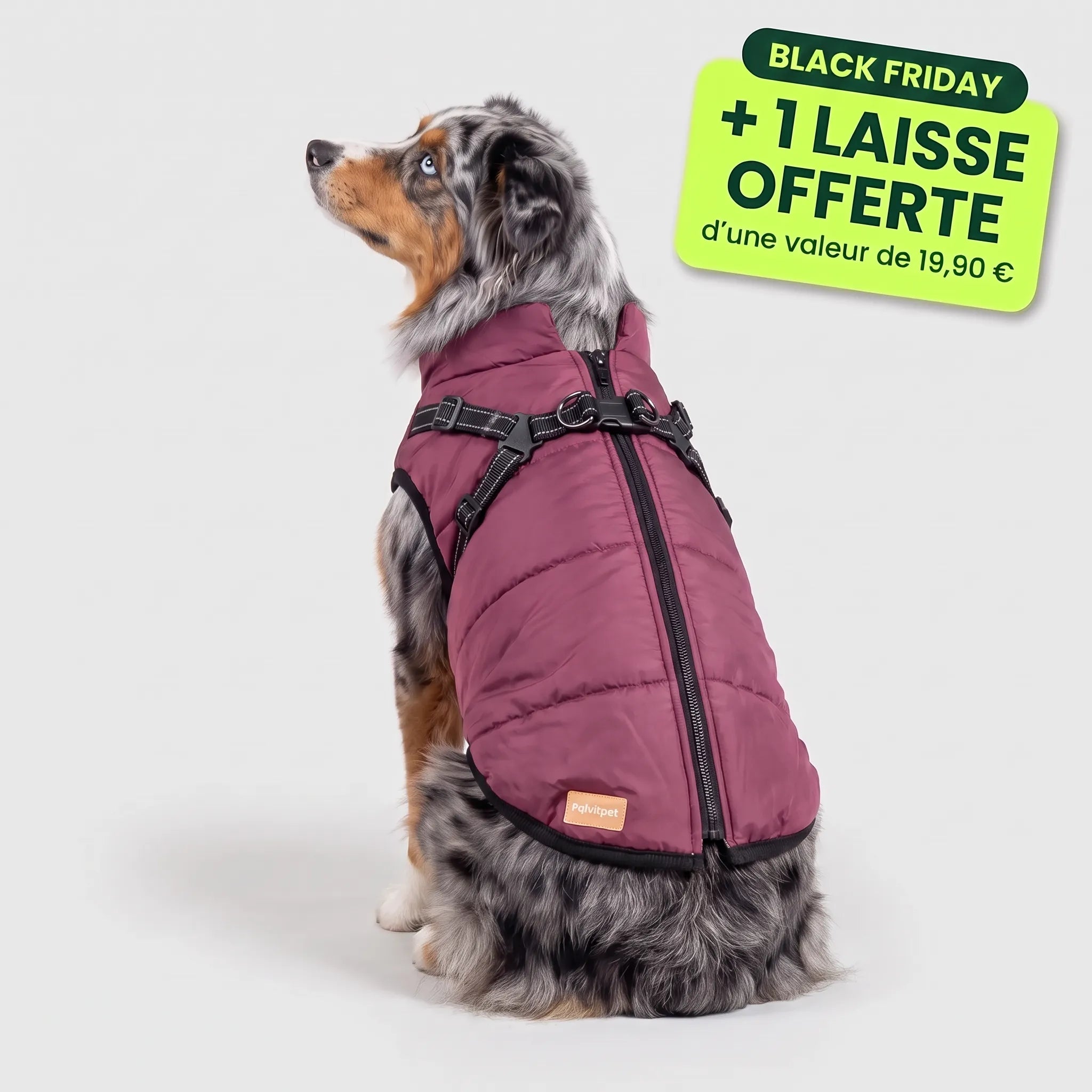 Pelux Polar™ - Le Manteau avec Harnais Intégré