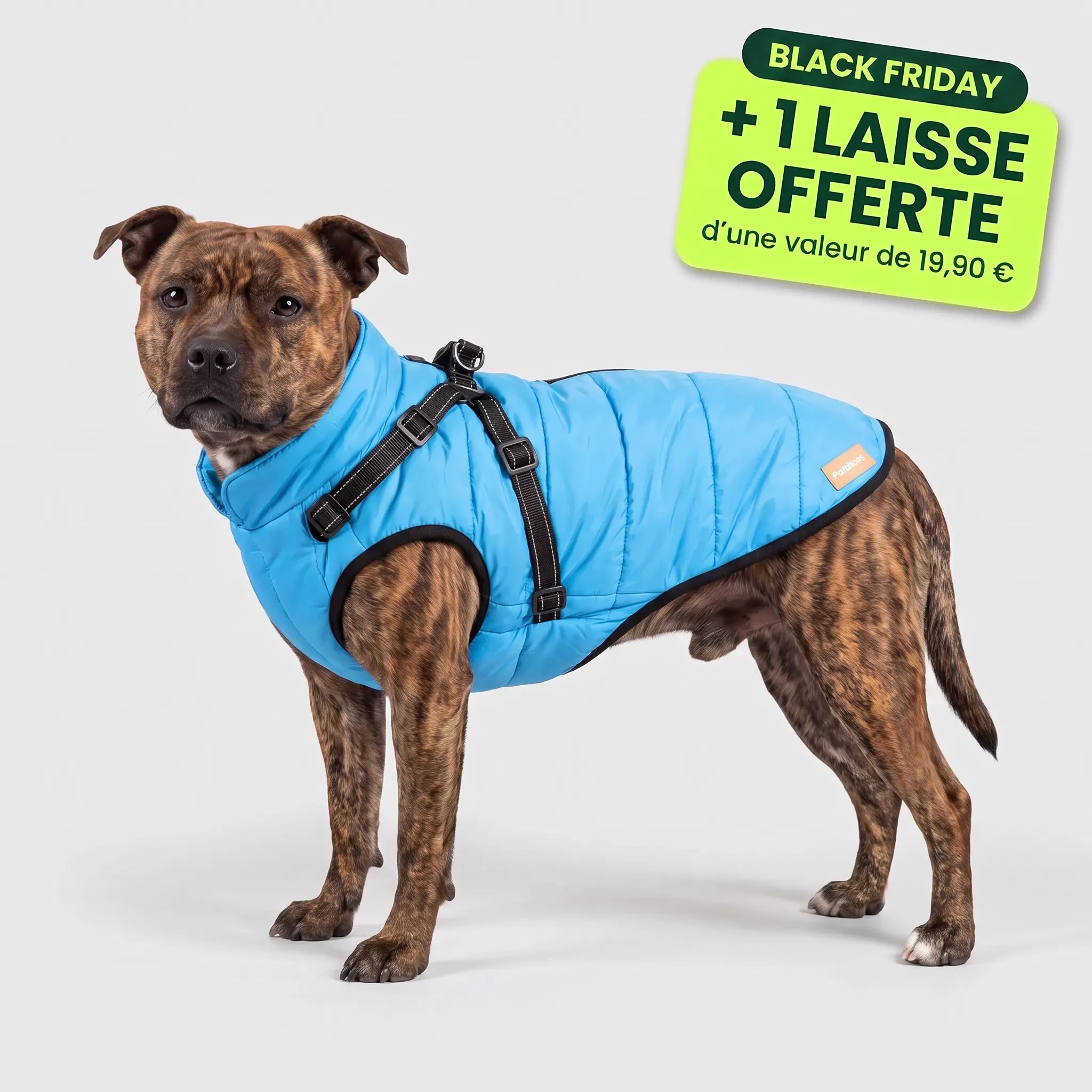 Pelux Polar™ - Le Manteau avec Harnais Intégré