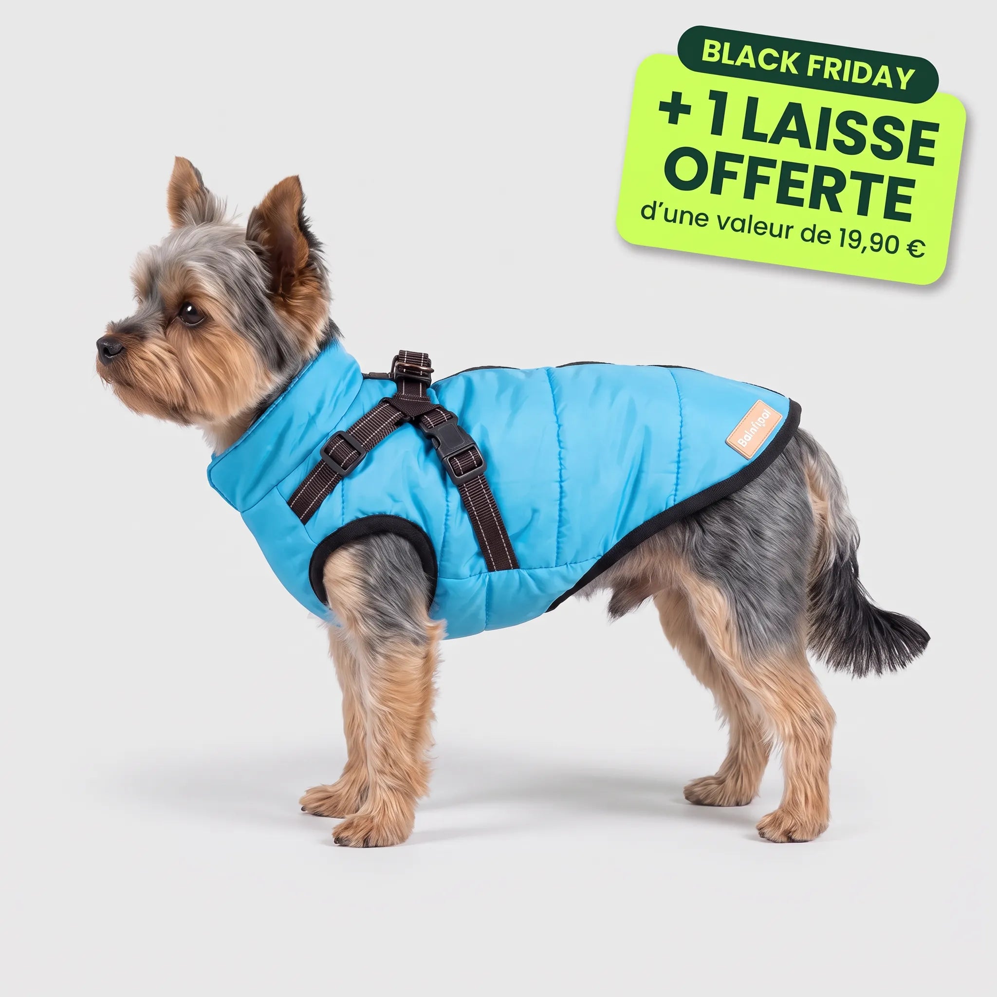 Pelux Polar™ - Le Manteau avec Harnais Intégré