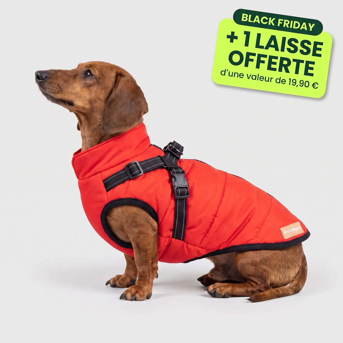 Pelux Polar™ - Le Manteau avec Harnais Intégré