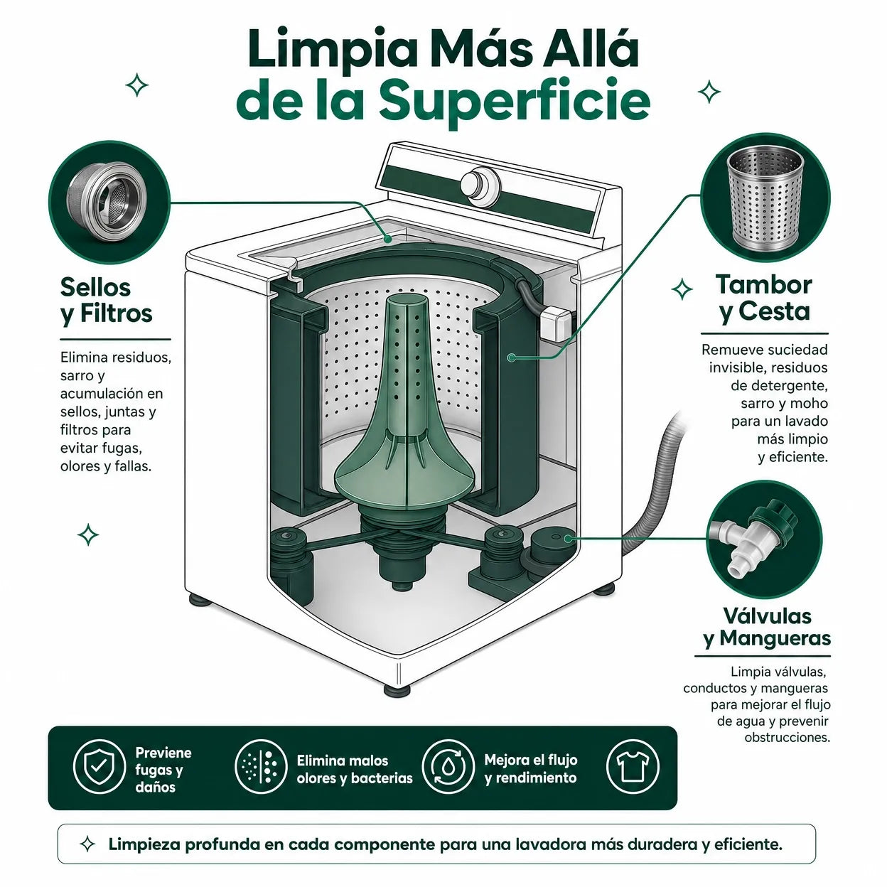 Pelvitpet™ Lavanda Pro