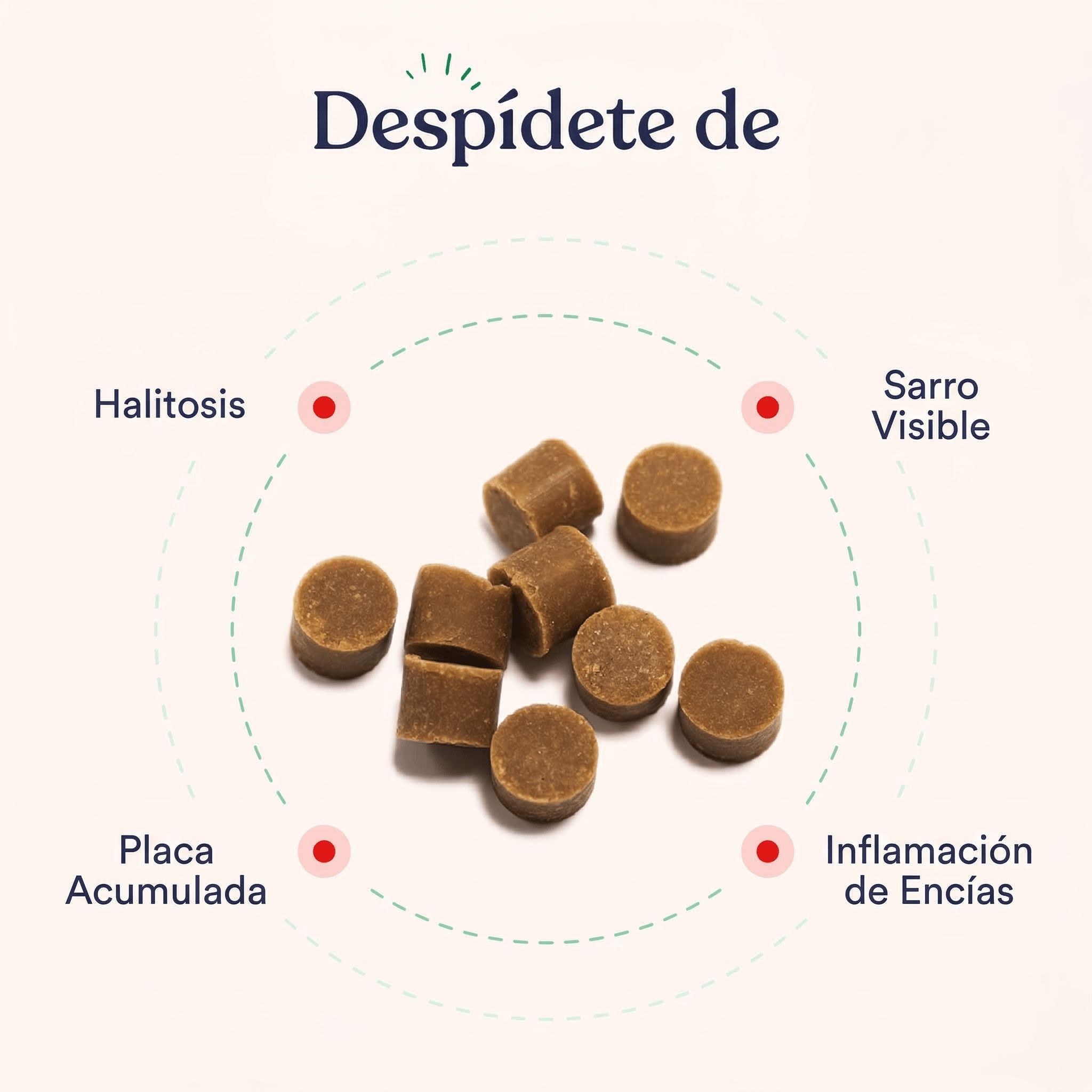 Polvo Dental - Pelvitpet