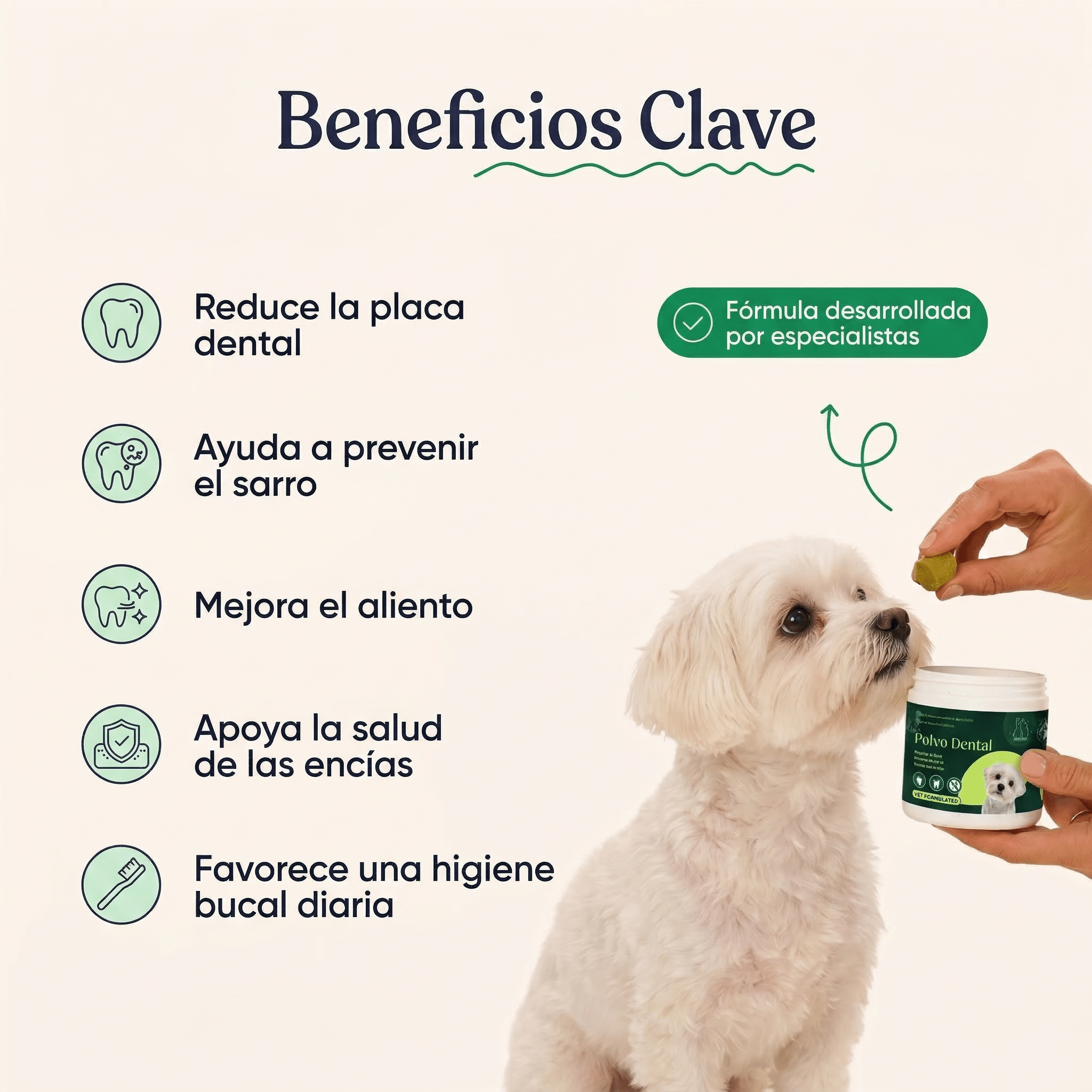 Polvo Dental - Pelvitpet
