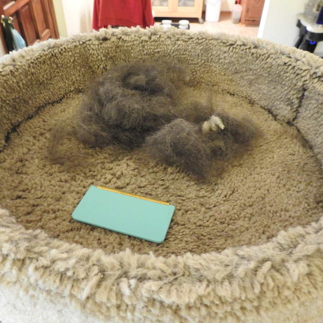 Pelux Limpiador Mini™